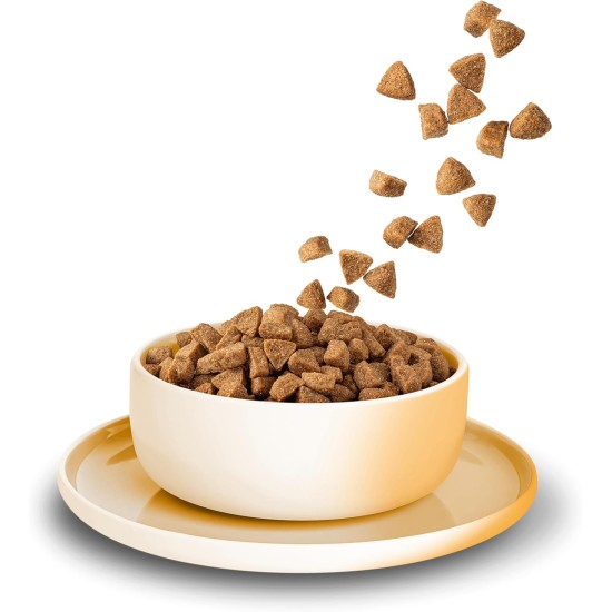 KITTY Cat Chicken Kitten, 800 g, Dry Food with High Meat Content for Junior Cats, Grain-Free Cat Food with Taurine and Salmon Oil, Made in Germany KITTY Cat Chicken Kitten, 800 g, Dry Food with High Meat Content for Junior Cats, Grain-Free Cat Food with Taurine and Salmon Oil, Made in Germany