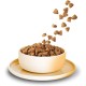 KITTY Cat Chicken Kitten, 800 g, Dry Food with High Meat Content for Junior Cats, Grain-Free Cat Food with Taurine and Salmon Oil, Made in Germany KITTY Cat Chicken Kitten, 800 g, Dry Food with High Meat Content for Junior Cats, Grain-Free Cat Food with Taurine and Salmon Oil, Made in Germany