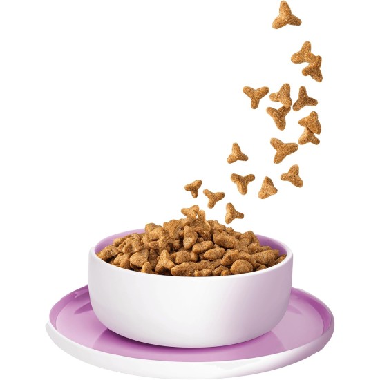KITTY Cat Chicken Kitten, 800 g, Dry Food with High Meat Content for Junior Cats, Grain-Free Cat Food with Taurine and Salmon Oil, Made in Germany KITTY Cat Chicken Kitten, 800 g, Dry Food with High Meat Content for Junior Cats, Grain-Free Cat Food with Taurine and Salmon Oil, Made in Germany