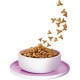KITTY Cat Chicken Kitten, 800 g, Dry Food with High Meat Content for Junior Cats, Grain-Free Cat Food with Taurine and Salmon Oil, Made in Germany KITTY Cat Chicken Kitten, 800 g, Dry Food with High Meat Content for Junior Cats, Grain-Free Cat Food with Taurine and Salmon Oil, Made in Germany