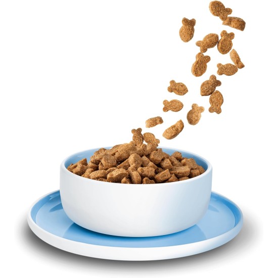 KITTY Cat Chicken Kitten, 800 g, Dry Food with High Meat Content for Junior Cats, Grain-Free Cat Food with Taurine and Salmon Oil, Made in Germany KITTY Cat Chicken Kitten, 800 g, Dry Food with High Meat Content for Junior Cats, Grain-Free Cat Food with Taurine and Salmon Oil, Made in Germany