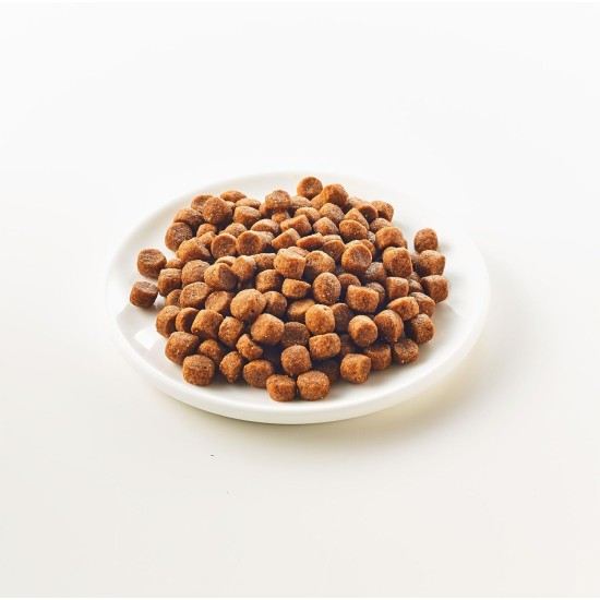 Kattovit - Gastro Dry Food for Cats | Cat Dry Food to Support the Gastrointestinal System | Diet Food as Complete Food for Adult Cats | 6 x 400 g Kattovit - Gastro Dry Food for Cats | Cat Dry Food to Support the Gastrointestinal System | Diet Food as Complete Food for Adult Cats | 6 x 400 g