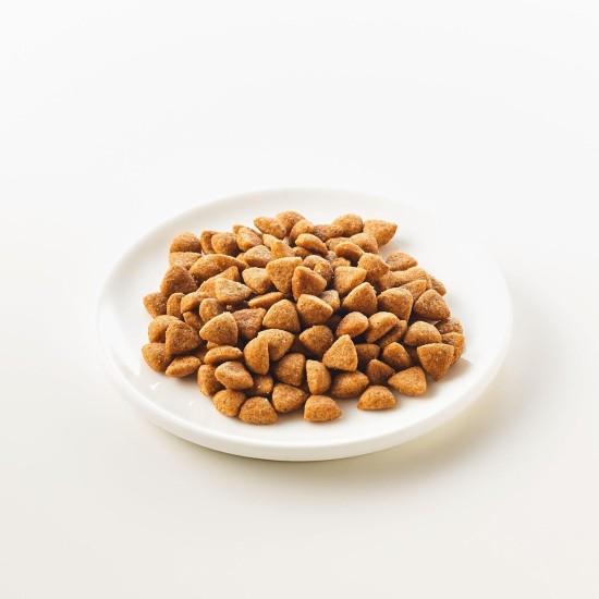 Kattovit - Kidney / Renal Dry Cat Food | Cat Dry Food to Support Kidney Function for Adult Cats Diet Food as Complete Food | 6 x 400g Chicken Kattovit - Kidney / Renal Dry Cat Food | Cat Dry Food to Support Kidney Function for Adult Cats Diet Food as Complete Food | 6 x 400g Chicken