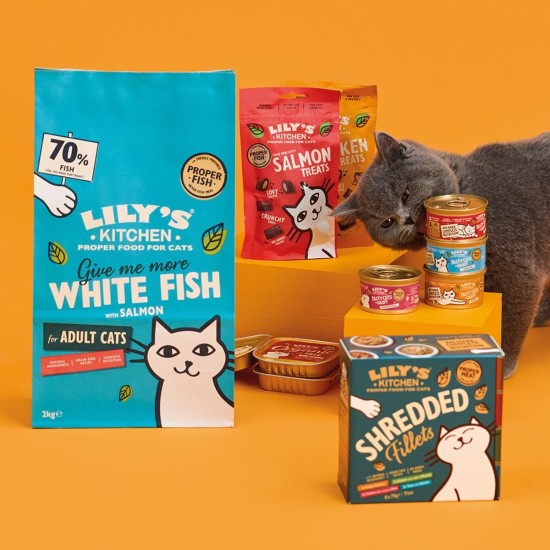 Lily's Kitchen Fabulous Fish Complete Natural Dry Food for Cats, 2 kg Lily's Kitchen Fabulous Fish Complete Natural Dry Food for Cats, 2 kg