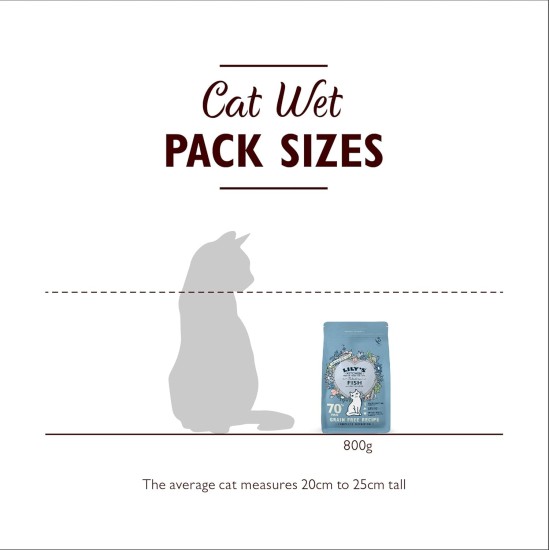 Lily's Kitchen Fabulous Fish Complete Natural Dry Food for Cats, 2 kg Lily's Kitchen Fabulous Fish Complete Natural Dry Food for Cats, 2 kg