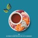 Lily's Kitchen Made with natural ingredients, dry food for cats, white fish with turkey and trout, grain-free formula, 4 x 800 g Lily's Kitchen Made with natural ingredients, dry food for cats, white fish with turkey and trout, grain-free formula, 4 x 800 g