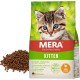 MERA Cats Kitten Chicken (2 kg), Dry Food for Adolescent Cats, Grain-Free & Sustainable, Dry Food with High Meat Content MERA Cats Kitten Chicken (2 kg), Dry Food for Adolescent Cats, Grain-Free & Sustainable, Dry Food with High Meat Content
