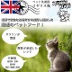 Meowing Heads Dry Cat Food for Kittens - Smitten Kitten - 100% Natural Fish and Chicken with No Artificial Flavours, Good for Healthy Brain Development, 1.5 kg Meowing Heads Dry Cat Food for Kittens - Smitten Kitten - 100% Natural Fish and Chicken with No Artificial Flavours, Good for Healthy Brain Development, 1.5 kg