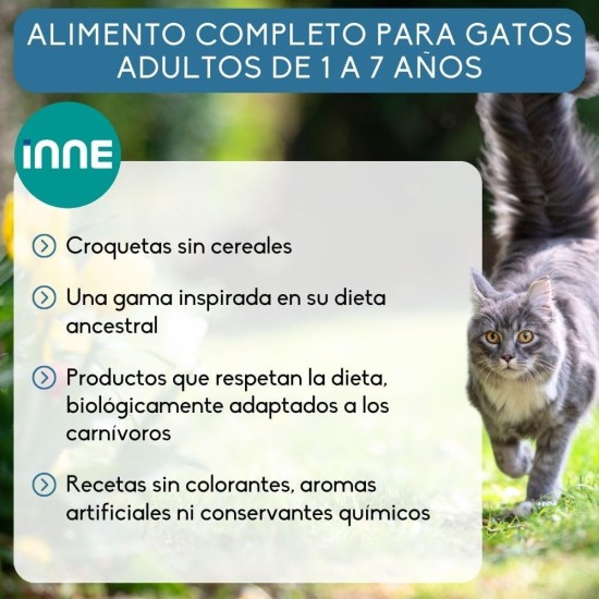 NUTRI-VET nutrivet Inne from 1 year to Fish Adult Cat 1.5 kg Bag NUTRI-VET nutrivet Inne from 1 year to Fish Adult Cat 1.5 kg Bag