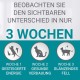 Nestle PURINA ONE Bifensis Indoor Formula Dry Cat Food for House Cats, Rich in Turkey, Pack of 6 (6 x 750 g) Nestle PURINA ONE Bifensis Indoor Formula Dry Cat Food for House Cats, Rich in Turkey, Pack of 6 (6 x 750 g)