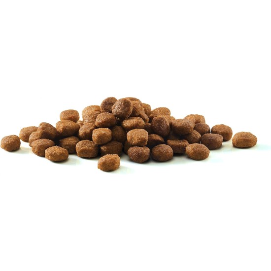 Nestle PURINA ONE Bifensis Indoor Formula Dry Cat Food for House Cats, Rich in Turkey, Pack of 6 (6 x 750 g) Nestle PURINA ONE Bifensis Indoor Formula Dry Cat Food for House Cats, Rich in Turkey, Pack of 6 (6 x 750 g)