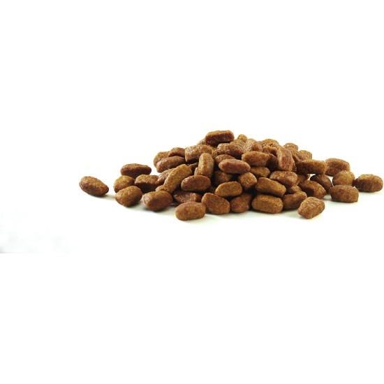One Bifensis Coat & Hairball Dry Cat Food, Rich in Chicken, Pack of 6 (6 x 750 g) One Bifensis Coat & Hairball Dry Cat Food, Rich in Chicken, Pack of 6 (6 x 750 g)