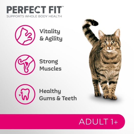 PERFECT FIT Adult Dry Food for Adult Cats from 1 Year - Salmon, 7 kg (1 Bag) PERFECT FIT Adult Dry Food for Adult Cats from 1 Year - Salmon, 7 kg (1 Bag)