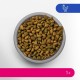 PERFECT FIT Adult Dry Food for Adult Cats from 1 Year - Salmon, 7 kg (1 Bag)