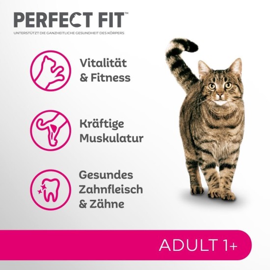 PERFECT FIT Adult Dry Food for Adult Cats from 1 Year - Salmon, 7 kg (1 Bag) PERFECT FIT Adult Dry Food for Adult Cats from 1 Year - Salmon, 7 kg (1 Bag)
