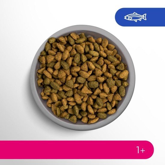 PERFECT FIT Adult Dry Food for Adult Cats from 1 Year - Salmon, 7 kg (1 Bag) PERFECT FIT Adult Dry Food for Adult Cats from 1 Year - Salmon, 7 kg (1 Bag)