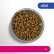 PERFECT FIT Adult Dry Food for Adult Cats from 1 Year - Salmon, 7 kg (1 Bag)