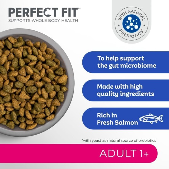 PERFECT FIT Adult Dry Food for Adult Cats from 1 Year - Salmon, 7 kg (1 Bag) PERFECT FIT Adult Dry Food for Adult Cats from 1 Year - Salmon, 7 kg (1 Bag)