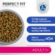 PERFECT FIT Adult Dry Food for Adult Cats from 1 Year - Salmon, 7 kg (1 Bag)