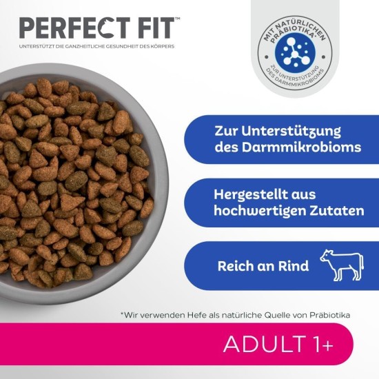 PERFECT FIT Adult Dry Food for Adults, Active Cats from 1 Year - Beef, 7 kg (1 Bag) PERFECT FIT Adult Dry Food for Adults, Active Cats from 1 Year - Beef, 7 kg (1 Bag)
