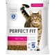 PERFECT FIT Adult Dry Food for Adults, Active Cats from 1 Year - Beef, 750 g (6 Bags) PERFECT FIT Adult Dry Food for Adults, Active Cats from 1 Year - Beef, 750 g (6 Bags)