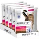 PERFECT FIT Adult Dry Food for Adults, Active Cats from 1 Year - Beef, 750 g (6 Bags) PERFECT FIT Adult Dry Food for Adults, Active Cats from 1 Year - Beef, 750 g (6 Bags)