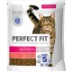 PERFECT FIT Adult Dry Food for Adults, Active Cats from 1 Year - Beef, 750 g (6 Bags) PERFECT FIT Adult Dry Food for Adults, Active Cats from 1 Year - Beef, 750 g (6 Bags)