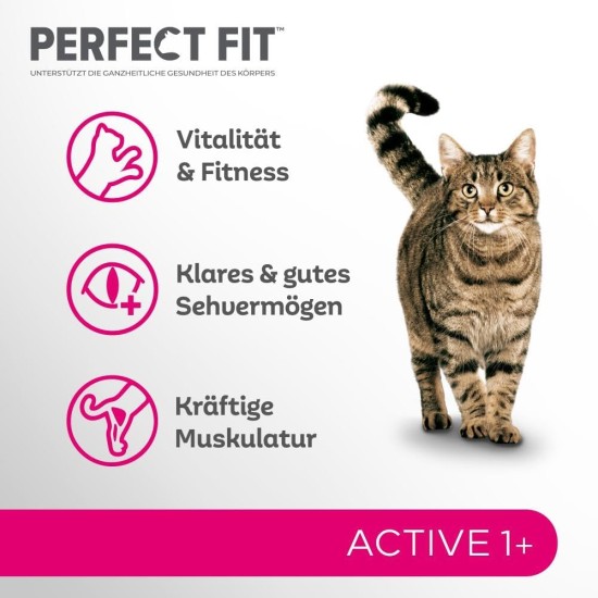 PERFECT FIT Adult Dry Food for Adults, Active Cats from 1 Year - Beef, 750 g (6 Bags) PERFECT FIT Adult Dry Food for Adults, Active Cats from 1 Year - Beef, 750 g (6 Bags)