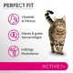 PERFECT FIT Adult Dry Food for Adults, Active Cats from 1 Year - Beef, 750 g (6 Bags) PERFECT FIT Adult Dry Food for Adults, Active Cats from 1 Year - Beef, 750 g (6 Bags)
