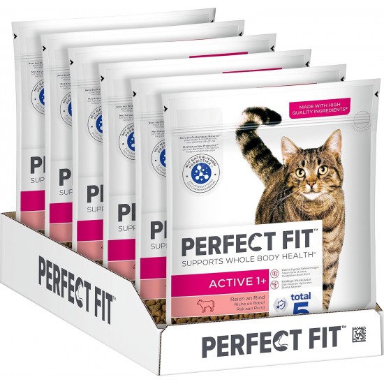 PERFECT FIT Adult Dry Food for Adults, Active Cats from 1 Year - Beef, 750 g (6 Bags)