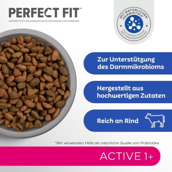 PERFECT FIT Adult Dry Food for Adults, Active Cats from 1 Year - Beef, 750 g (6 Bags) PERFECT FIT Adult Dry Food for Adults, Active Cats from 1 Year - Beef, 750 g (6 Bags)