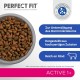 PERFECT FIT Adult Dry Food for Adults, Active Cats from 1 Year - Beef, 750 g (6 Bags) PERFECT FIT Adult Dry Food for Adults, Active Cats from 1 Year - Beef, 750 g (6 Bags)