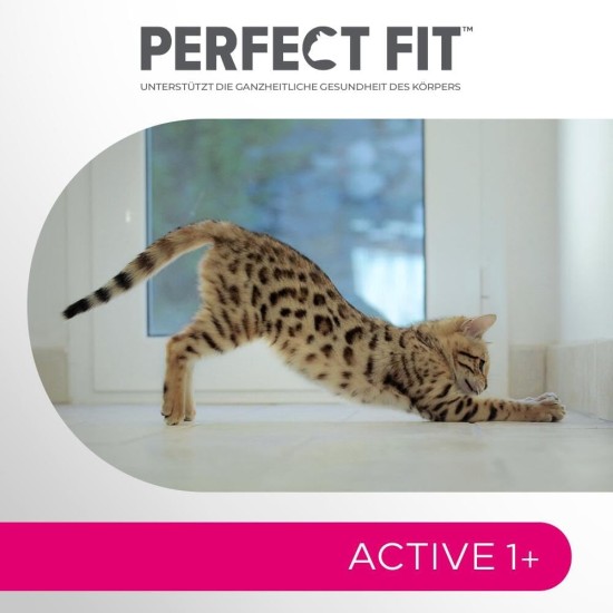 PERFECT FIT Adult Dry Food for Adults, Active Cats from 1 Year - Beef, 750 g (6 Bags) PERFECT FIT Adult Dry Food for Adults, Active Cats from 1 Year - Beef, 750 g (6 Bags)