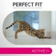 PERFECT FIT Adult Dry Food for Adults, Active Cats from 1 Year - Beef, 750 g (6 Bags) PERFECT FIT Adult Dry Food for Adults, Active Cats from 1 Year - Beef, 750 g (6 Bags)