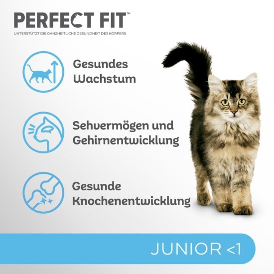 PERFECT FIT Junior Dry Food for Young Cats Under 1 Year - Chicken, 7 kg (1 Bag) PERFECT FIT Junior Dry Food for Young Cats Under 1 Year - Chicken, 7 kg (1 Bag)
