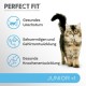 PERFECT FIT Junior Dry Food for Young Cats Under 1 Year - Chicken, 7 kg (1 Bag) PERFECT FIT Junior Dry Food for Young Cats Under 1 Year - Chicken, 7 kg (1 Bag)