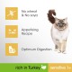 PERFECT FIT™ Katze Beutel Anti Hairball 1+ mit Huhn 6 x 750g PERFECT FIT™ Katze Beutel Anti Hairball 1+ mit Huhn 6 x 750g