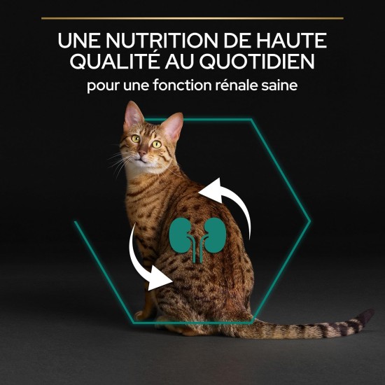 PRO PLAN Adult Dry Cat Food Chicken and Rice 3kg PRO PLAN Adult Dry Cat Food Chicken and Rice 3kg