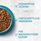 PURINA ONE BIFENSIS Adult Dry Cat Food, Various Varieties PURINA ONE BIFENSIS Adult Dry Cat Food, Various Varieties
