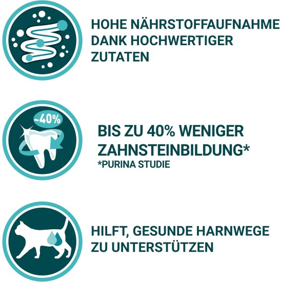 PURINA ONE Bifensis Adult Cat Salmon Dry Food 9.75kg PURINA ONE Bifensis Adult Cat Salmon Dry Food 9.75kg