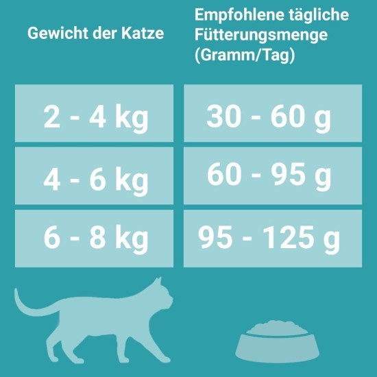 PURINA ONE Bifensis Adult Cat Salmon Dry Food 9.75kg PURINA ONE Bifensis Adult Cat Salmon Dry Food 9.75kg