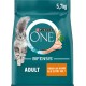 PURINA ONE Bifensis Adult Dry Cat Food, Rich in Chicken, Pack of 1 (1 x 5.7 kg) PURINA ONE Bifensis Adult Dry Cat Food, Rich in Chicken, Pack of 1 (1 x 5.7 kg)