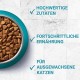 PURINA ONE Bifensis Adult Dry Cat Food, Rich in Chicken, Pack of 1 (1 x 5.7 kg) PURINA ONE Bifensis Adult Dry Cat Food, Rich in Chicken, Pack of 1 (1 x 5.7 kg)