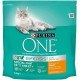 PURINA ONE Bifensis Cat from 11 Years | Dry Food with Chicken and Whole Grain Grain for Older Cats | Bag of 1.5 kg | Pack of 6 PURINA ONE Bifensis Cat from 11 Years | Dry Food with Chicken and Whole Grain Grain for Older Cats | Bag of 1.5 kg | Pack of 6