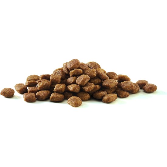PURINA ONE Bifensis Sensitive Dry Cat Food, Rich in Turkey, Pack of 6 (6 x 750 g) PURINA ONE Bifensis Sensitive Dry Cat Food, Rich in Turkey, Pack of 6 (6 x 750 g)
