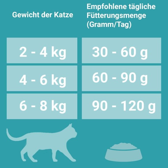PURINA ONE Bifensis Sensitive Dry Cat Food, Rich in Turkey, Pack of 6 (6 x 750 g) PURINA ONE Bifensis Sensitive Dry Cat Food, Rich in Turkey, Pack of 6 (6 x 750 g)