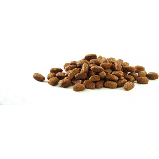 PURINA ONE Bifensis Sterilcat Dry Cat Food for Sterilised Cats, Rich in Chicken, Pack of 1 (1 x 5.7 kg) PURINA ONE Bifensis Sterilcat Dry Cat Food for Sterilised Cats, Rich in Chicken, Pack of 1 (1 x 5.7 kg)