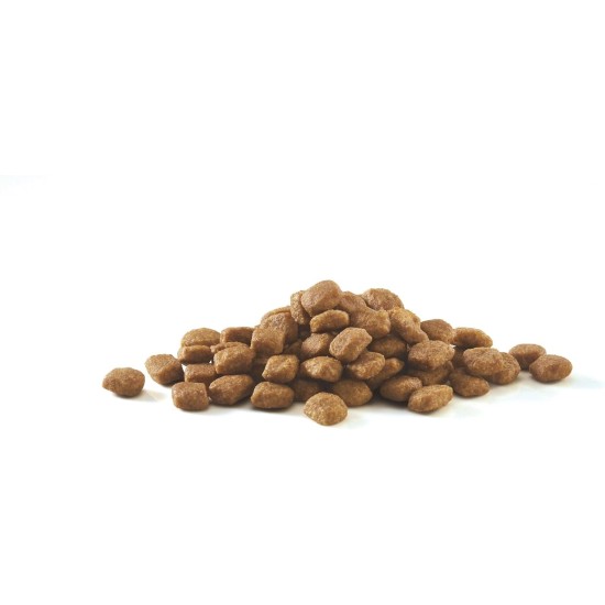 PURINA ONE Bifensis Sterilised Cat Food | Dry Food with Beef for Adult Cats | Bag of 7.5 kg PURINA ONE Bifensis Sterilised Cat Food | Dry Food with Beef for Adult Cats | Bag of 7.5 kg