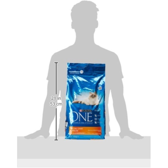 PURINA ONE Bifensis Sterilised Cat Food | Dry Food with Beef for Adult Cats | Bag of 7.5 kg PURINA ONE Bifensis Sterilised Cat Food | Dry Food with Beef for Adult Cats | Bag of 7.5 kg