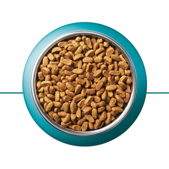 PURINA ONE Bifensis Sterilized Cat Food Dry for Sterilised Cats, Rich in Beef, Pack of 6 (6 x 750 g) PURINA ONE Bifensis Sterilized Cat Food Dry for Sterilised Cats, Rich in Beef, Pack of 6 (6 x 750 g)